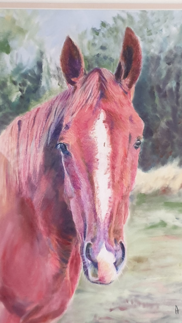 Chestnut mare