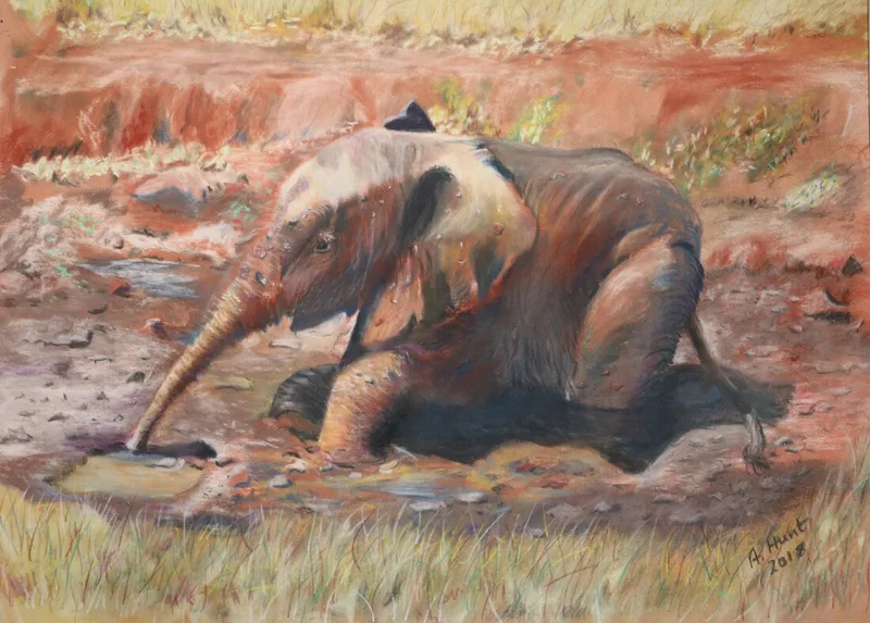 Tuko having a mud bath