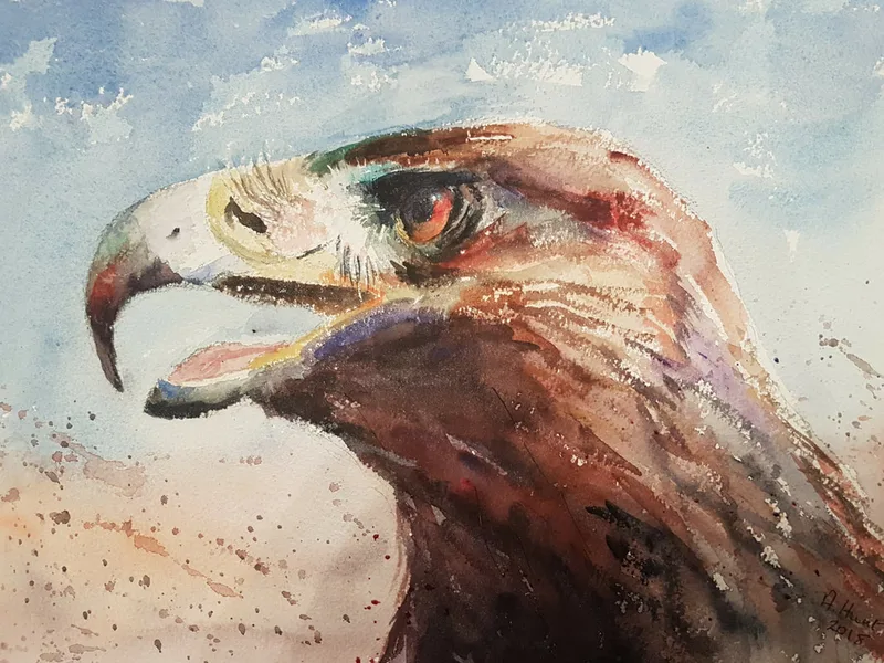 Golden Eagle