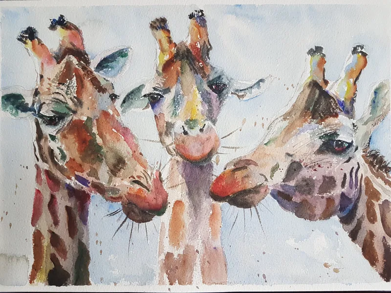 Three giraffes