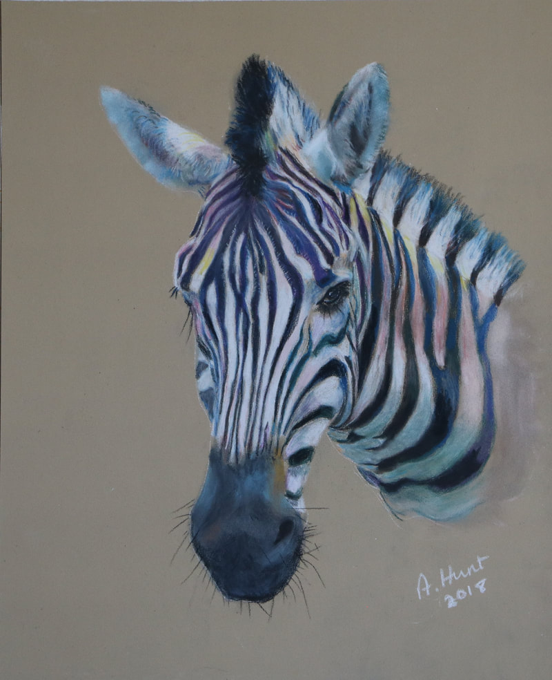 Head of a zebra