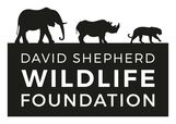 DSWF Logo