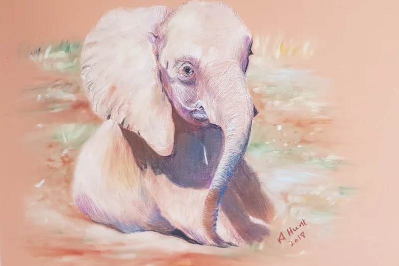 Baby elephant