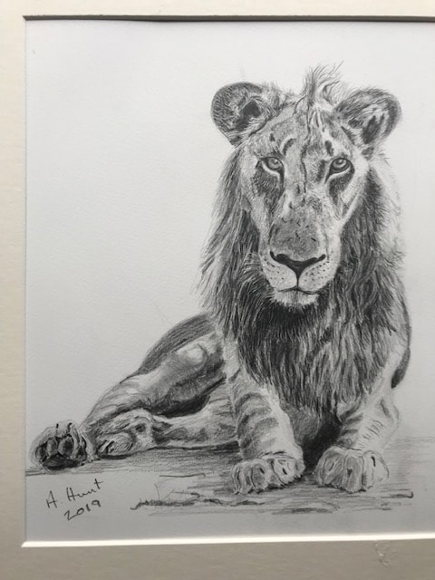 lion