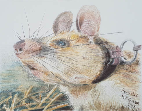 Portrai of HeroRAT MAGAWA