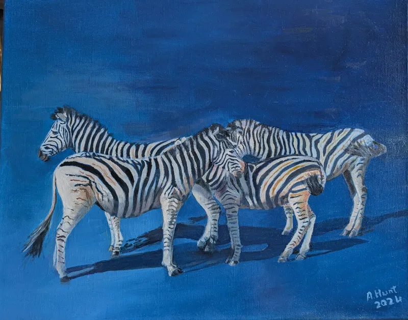 zebras