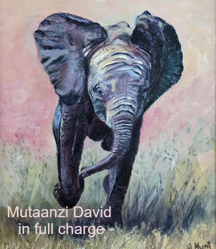 elephant