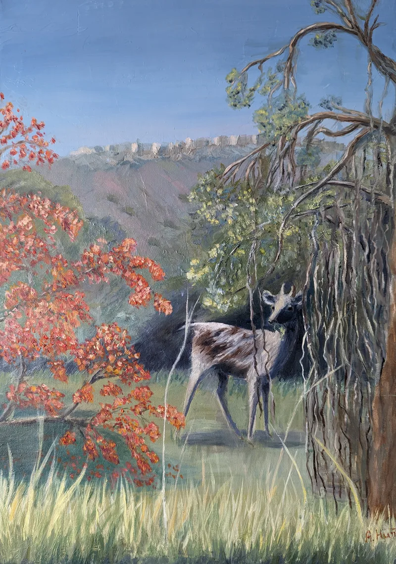 deer in Ranthambore