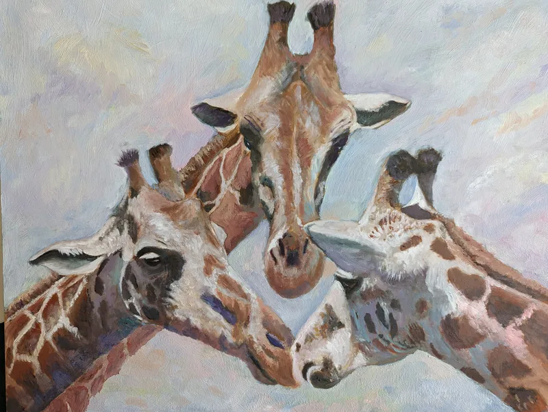 3 giraffes