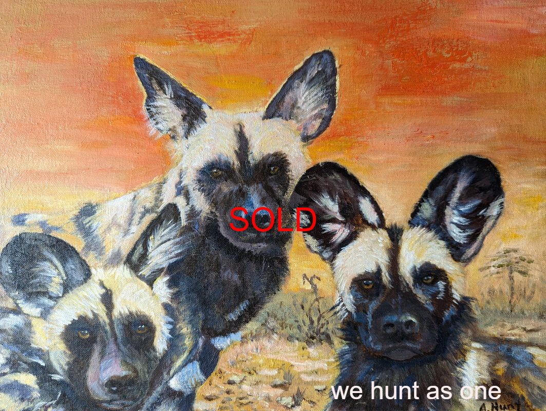Wild dogs