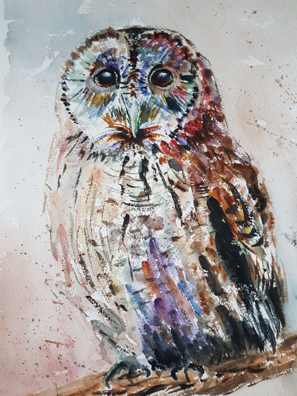Tawny owl