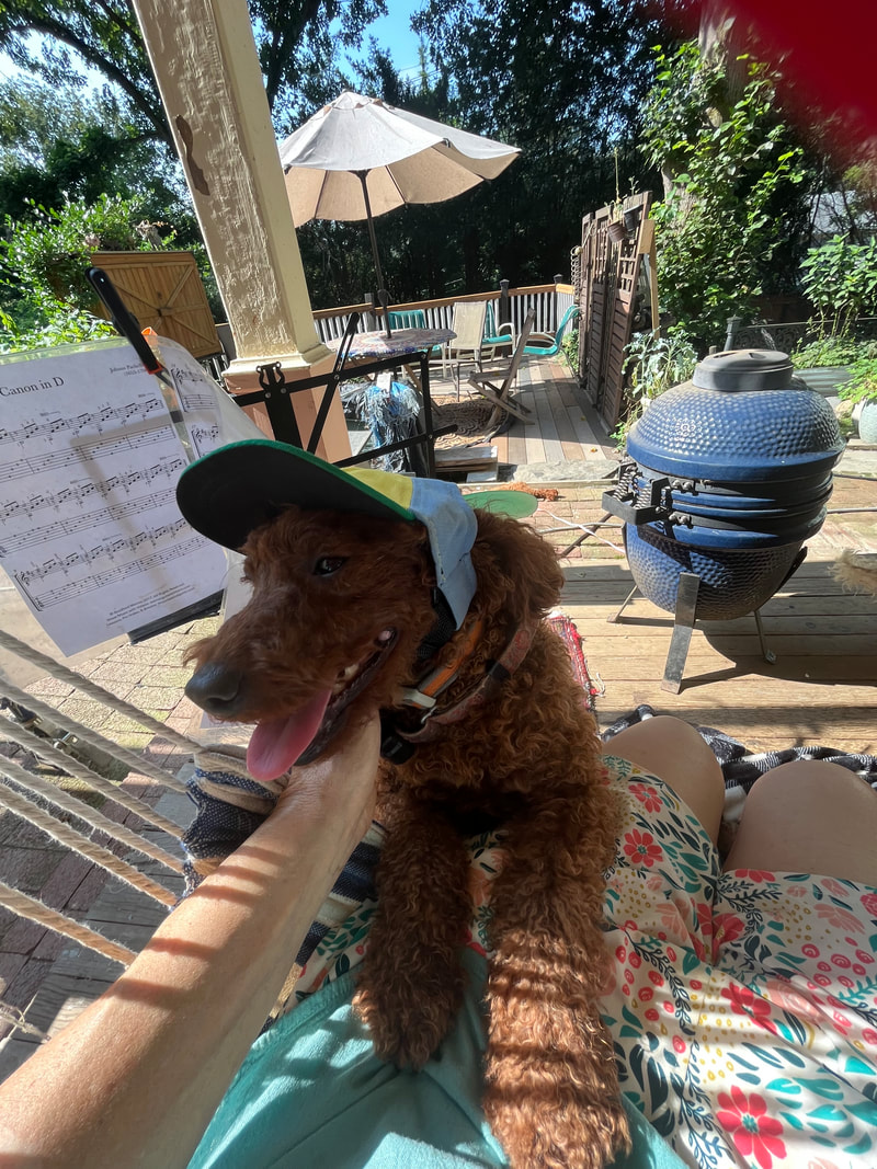 carousel chooser