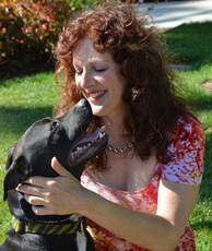 dog whisperer tips for aggressive dogs, Best Dog Training Santa Barbara, Best Dog Trainer Santa Barbara, Dog Whisperer Santa Barbara, Dog Behaviorist , Dog psychology,