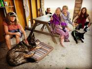 Best Dog trainer Santa Barbara, dog trainers Santa Barbara, dog behaviorist Santa Barbara, tips aggressive dogs, separation anxiety, humane dog training, humane dog trainer,