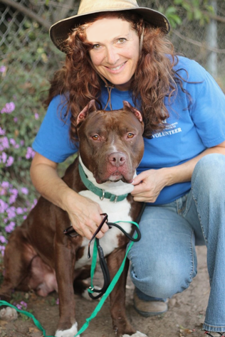 Santa Barbara Dog Whisperer, Best Dog Whispering Santa Barbara, Best Dog Training Santa Barbara, Best Dog Trainer Santa Barbara, Best Dog Whisperer Santa Barbara, Dog Behaviorist, Dog psychology,