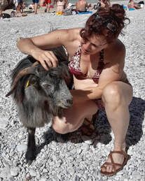 SB Dog Whisperer, Santa Barbara Dog Trainer, Best Dog Trainer Santa Barbara, Dog whisperer tips aggressive dogs, dog trainer Santa Barbara, dog behaviorist Santa Barbara, aggressive dog, separation anxiety, humane dog training,