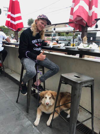 dog training santa barbara, Dog whisperer tips separation anxiety, dog trainer santa barbara, dog whisperer tips aggressive dog, best dog trainer santa barbara,