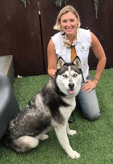 dog training santa barbara,  santa barbara Dog whisperer, dog trainer santa barbara, dog whisperer tips aggressive dog, best dog trainer santa barbara,