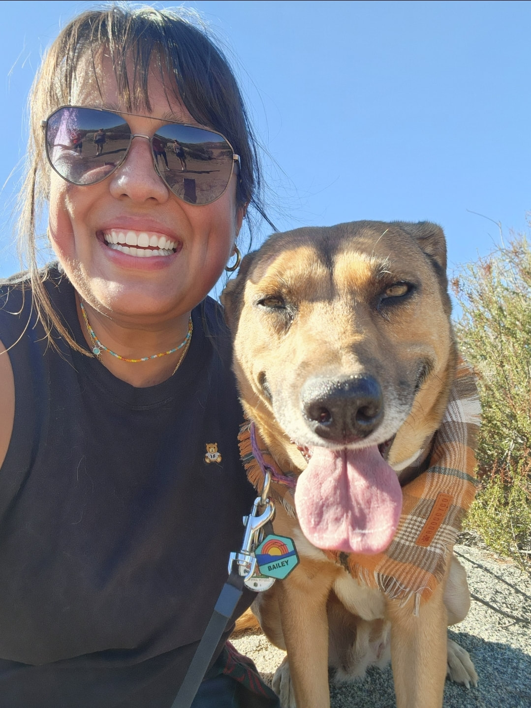 dog aggression, dog training santa barbara, Dog whisperer tips separation anxiety, dog trainer santa barbara, dog whisperer tips aggressive dog, best dog trainer santa barbara,