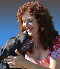 dog training santa barbara, best dog behaviorist santa barbara, help with aggressive dog,