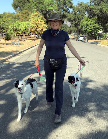 dog training santa barbara, santa barbara Dog whisperer, dog trainer santa barbara, dog whisperer tips aggressive dog, best dog trainer santa barbara,