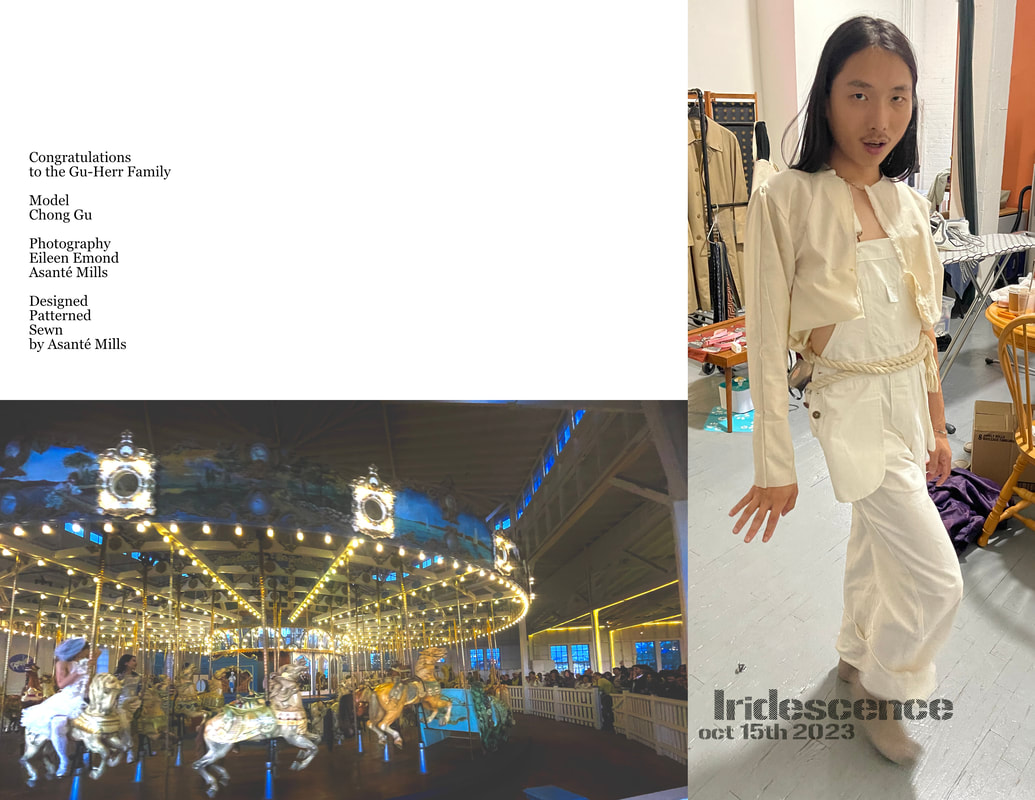 carousel chooser