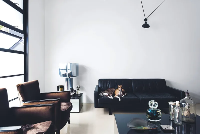 Italian Greyhounds as featured in "Resident Dog" by Nicole England