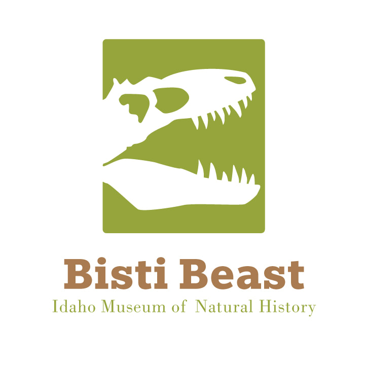 Bisti Beast