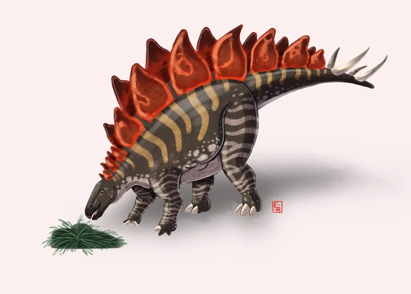 Stegosaurus