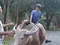 carousel chooser