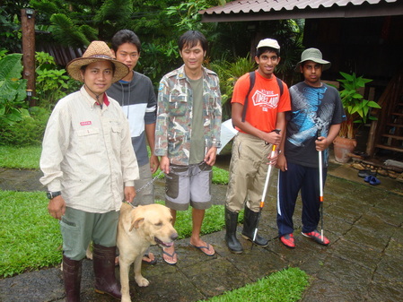 Picture
