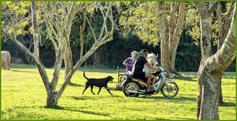 Image description