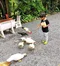 carousel chooser
