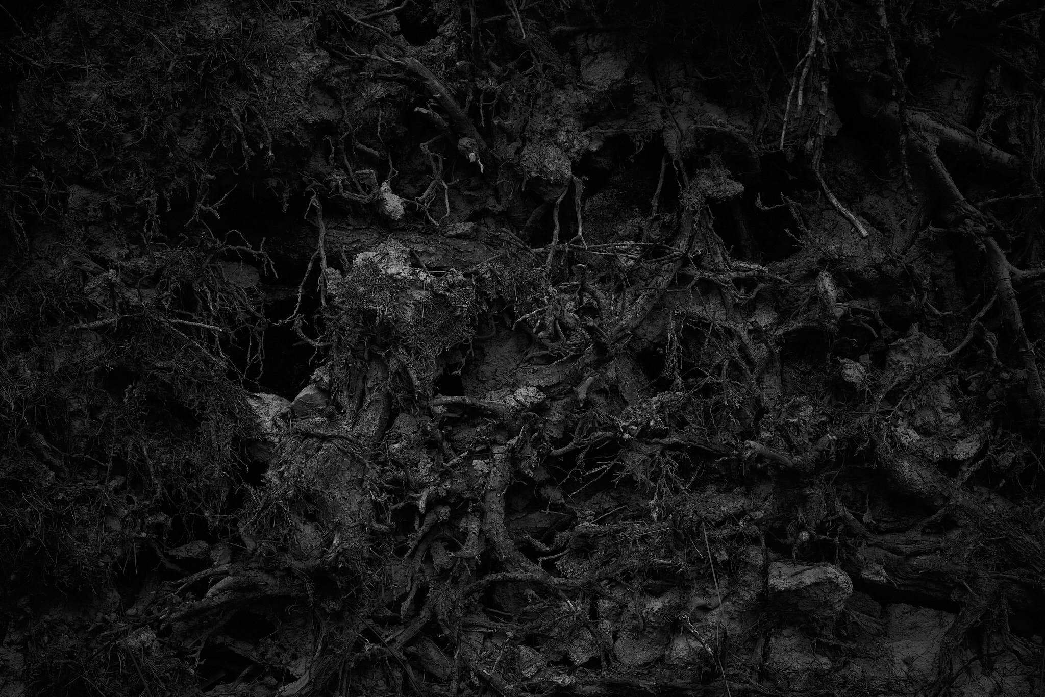 Image description