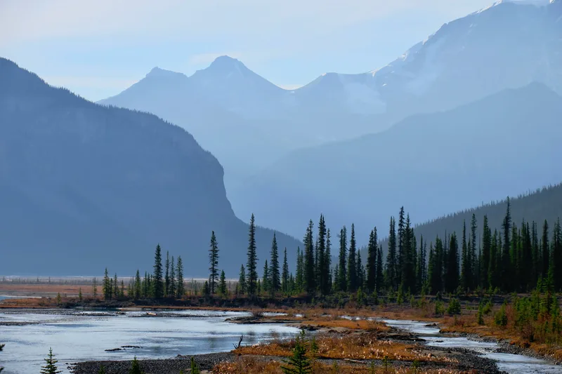 Beauty Creek north of the Columbia Icefields
