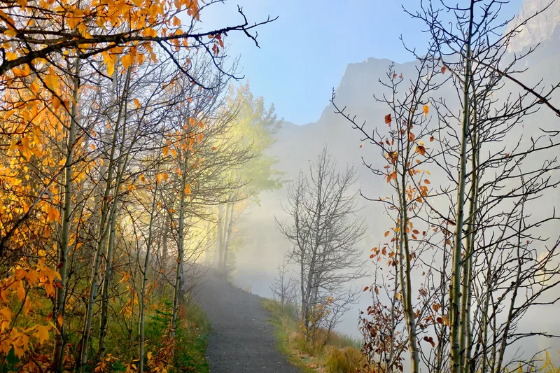 Quarry Lake path