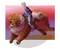 carousel chooser