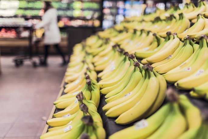cavendish banana