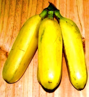 Gros Michel Banana