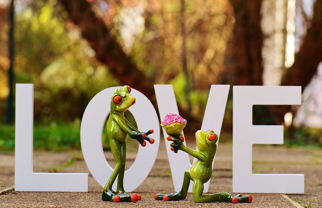 Frog Love Meme