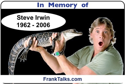steve irwin