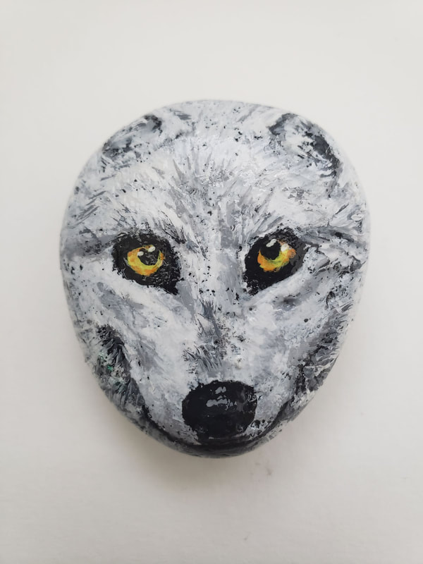 Artic Wolf