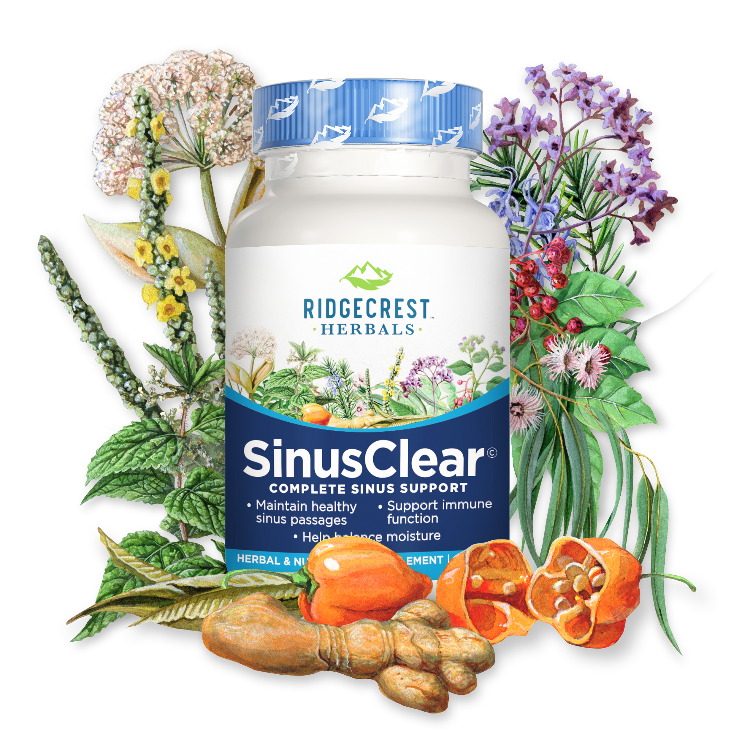 SinusClear® From Ridgecrest Herbals