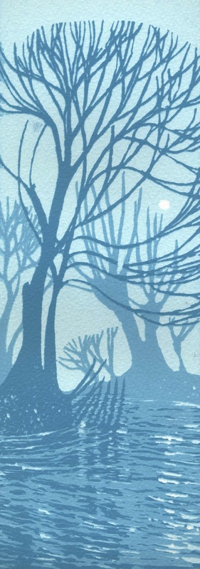 Grantchester Willows ©Ian Scott Massie 2013