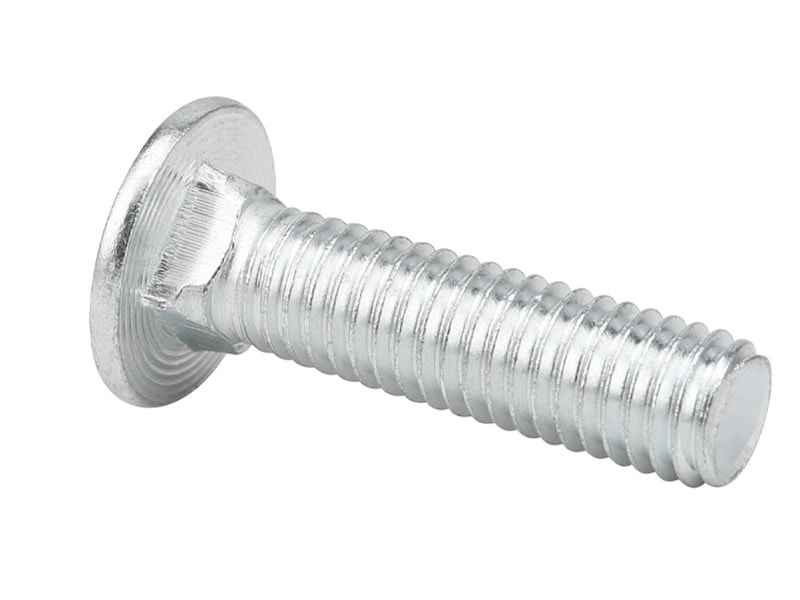 Carriage bolts