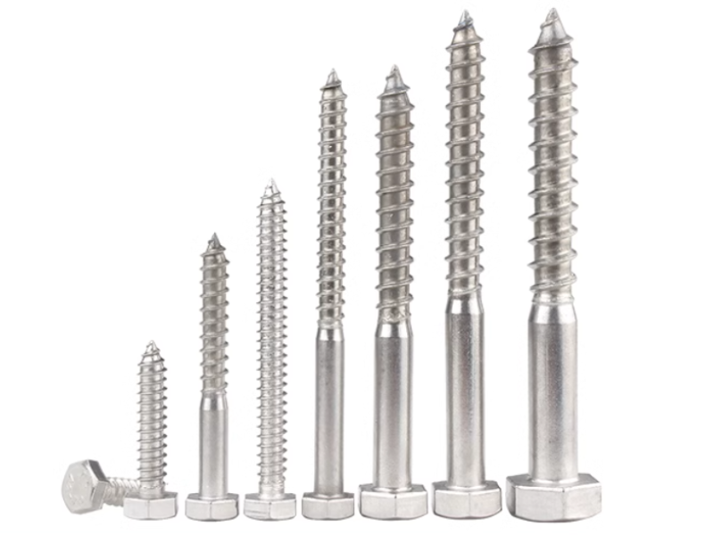 Hexagon Head Lag Screw