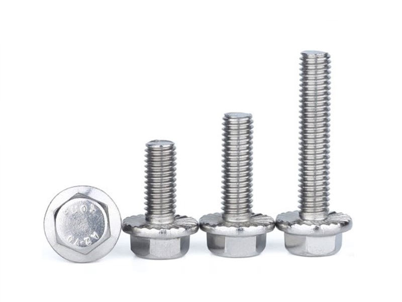 Stainless Steel Hex Flange Bolt​