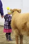 carousel chooser