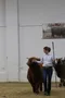 carousel chooser