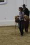 carousel chooser